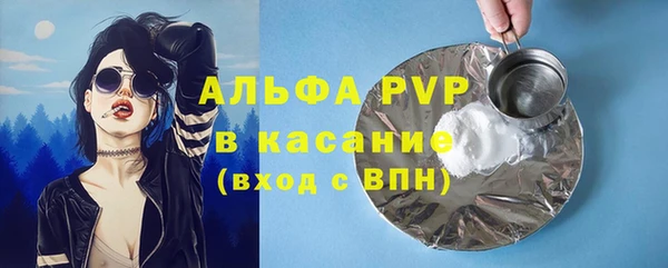 дмт Абаза
