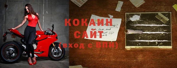 дмт Абаза