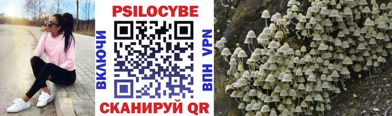 Псилоцибиновые грибы прущие грибы  где можно купить наркотик  Шарья 